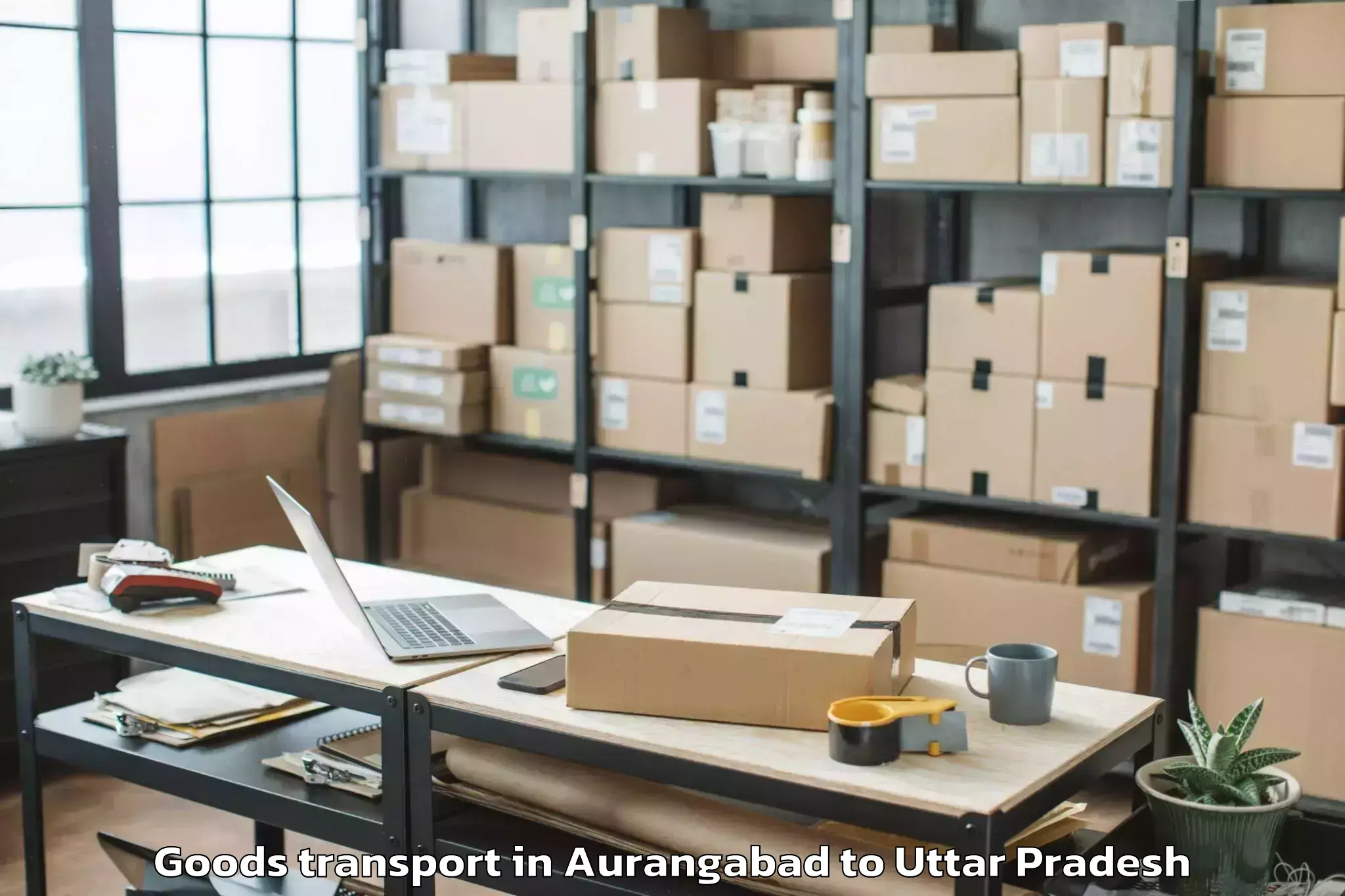 Quality Aurangabad to Bajna Goods Transport